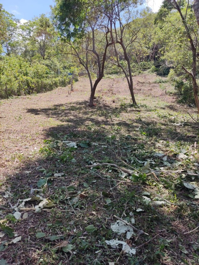 Terreno, 1050 m² - Foto 3