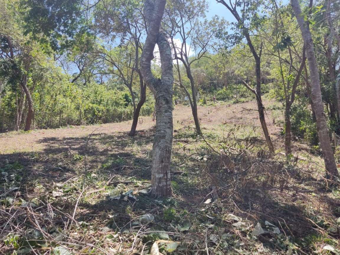 Terreno, 1050 m² - Foto 4