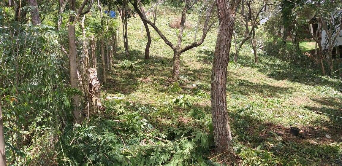 Terreno, 1050 m² - Foto 6