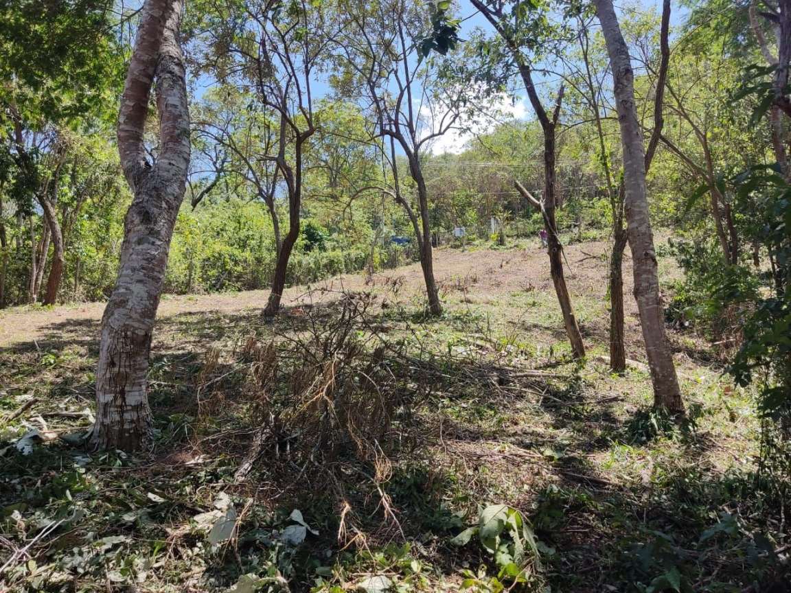 Terreno, 1050 m² - Foto 8