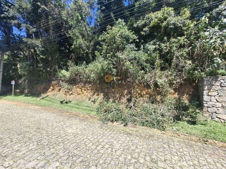 Terreno, 2552 m² - Foto 3