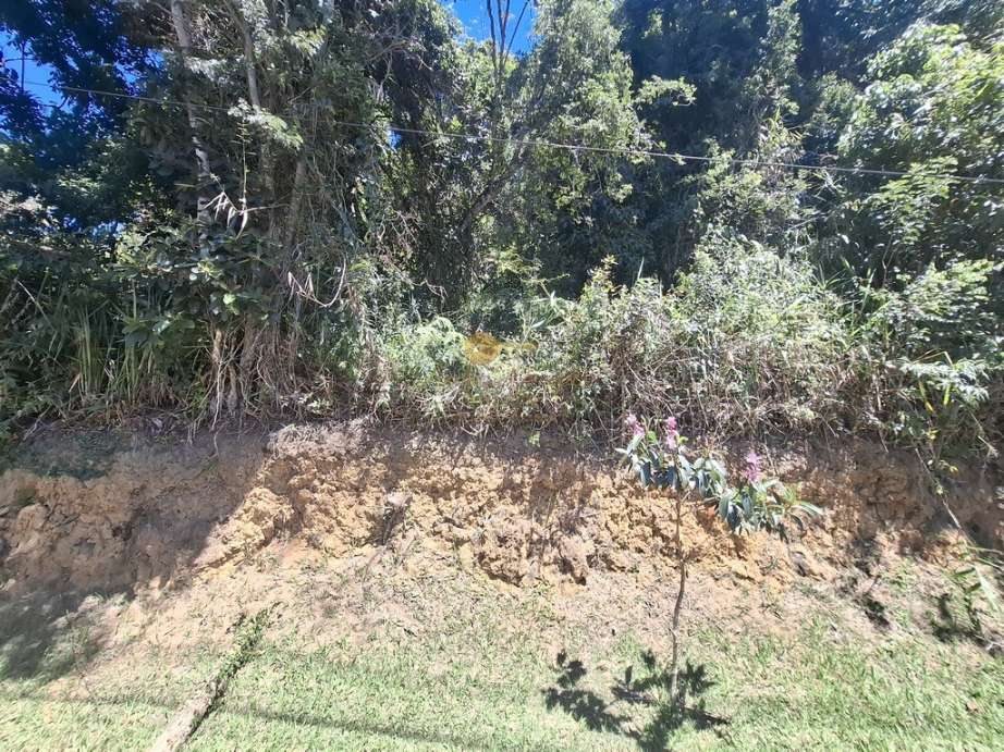 Terreno, 2552 m² - Foto 6