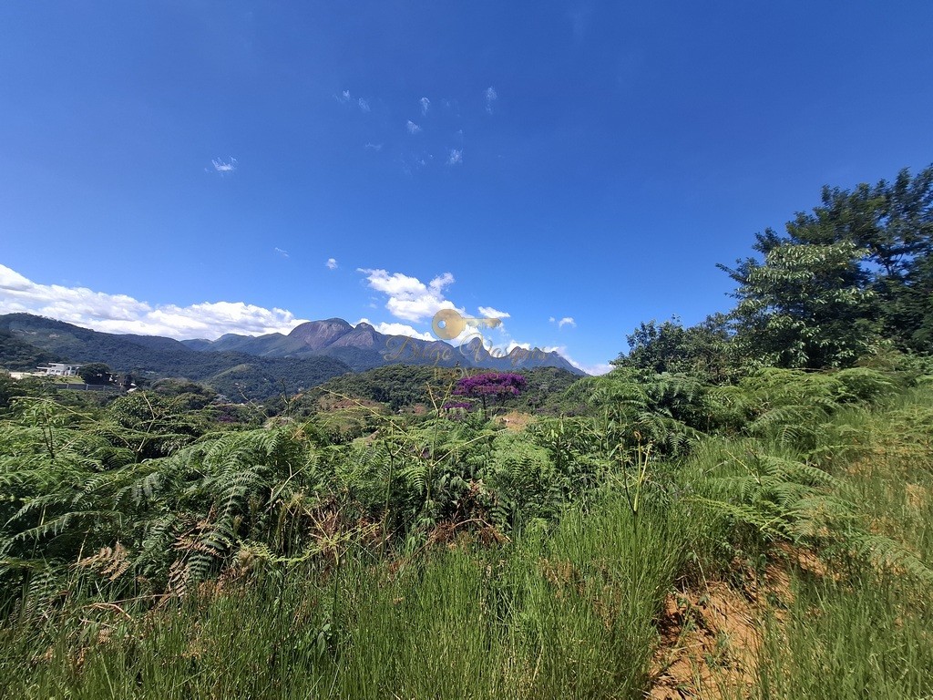 Terreno, 2552 m² - Foto 9