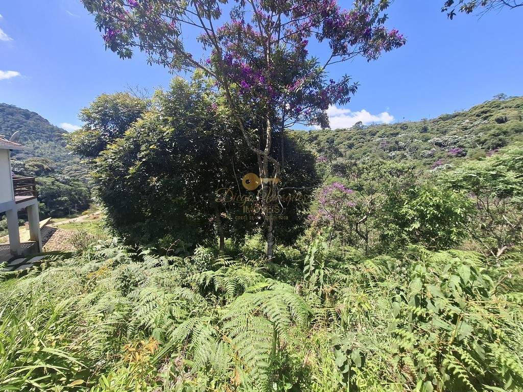 Terreno Residencial à venda em Vargem Grande, Teresópolis - RJ - Foto 3
