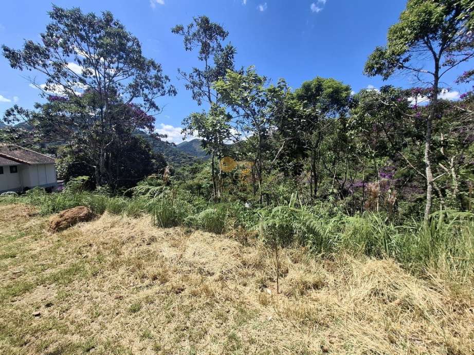 Terreno Residencial à venda em Vargem Grande, Teresópolis - RJ - Foto 5