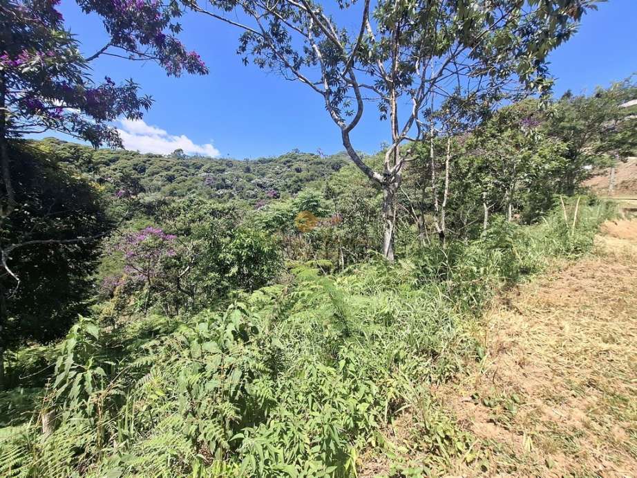 Terreno Residencial à venda em Vargem Grande, Teresópolis - RJ - Foto 4