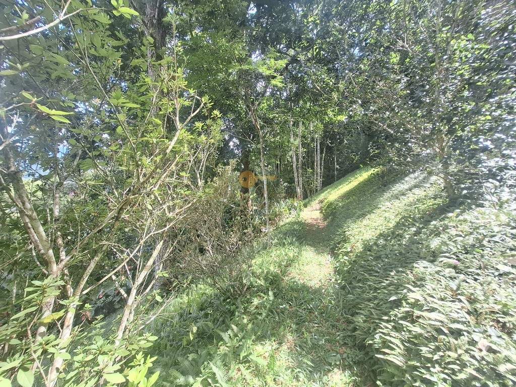 Casa, 3 quartos, 2634 m² - Foto 23