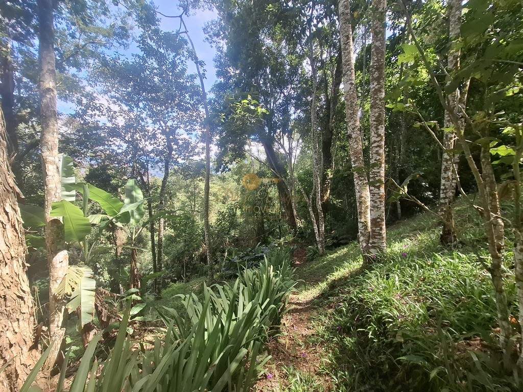 Casa, 3 quartos, 2634 m² - Foto 25