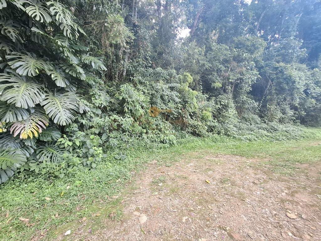 Casa, 3 quartos, 2634 m² - Foto 31