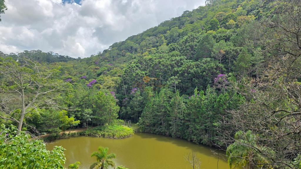 Fazenda, 55 hectares - Foto 13