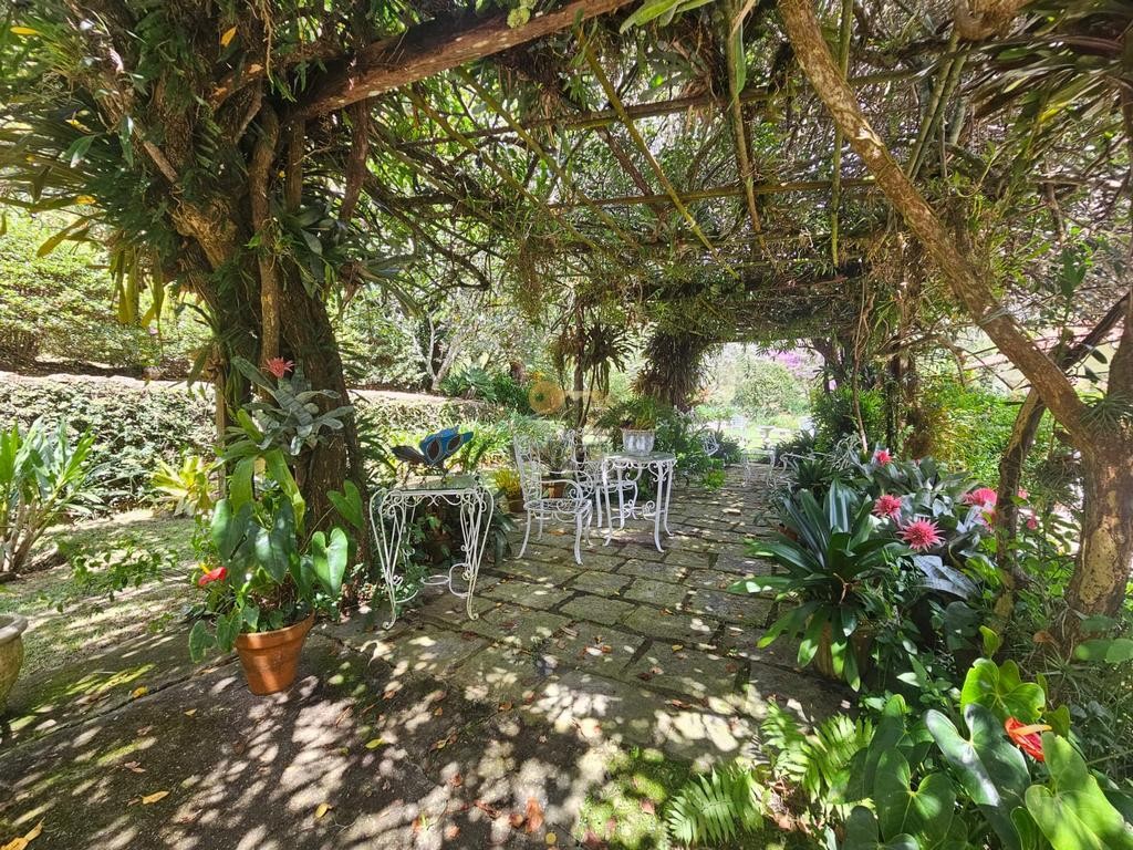 Fazenda, 55 hectares - Foto 45