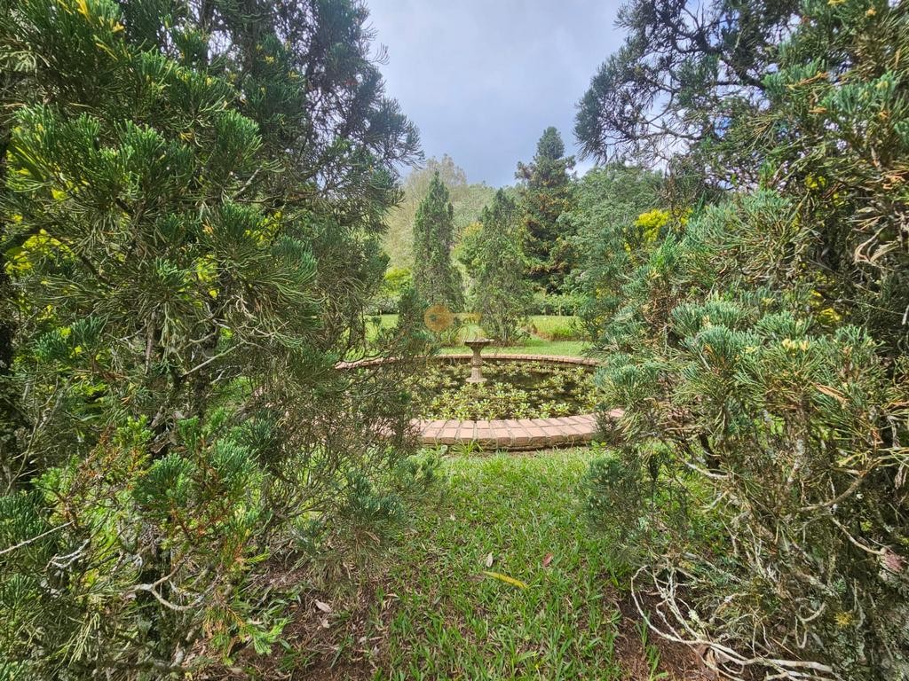 Fazenda, 55 hectares - Foto 49