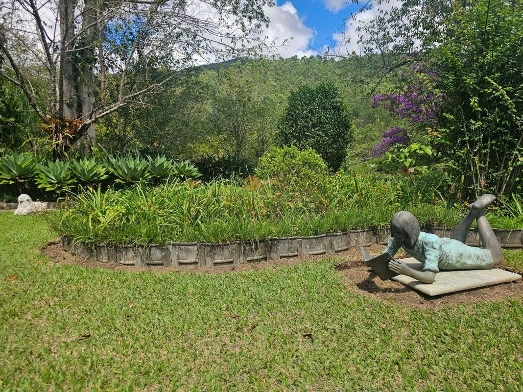 Fazenda, 55 hectares - Foto 48