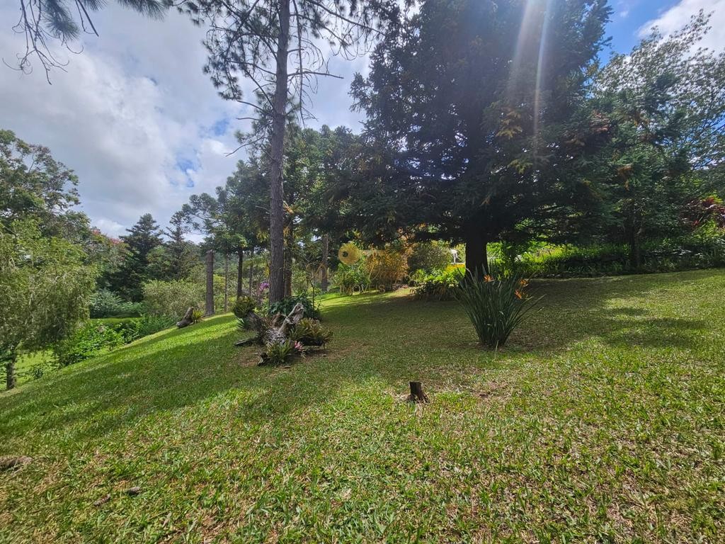 Fazenda, 55 hectares - Foto 56