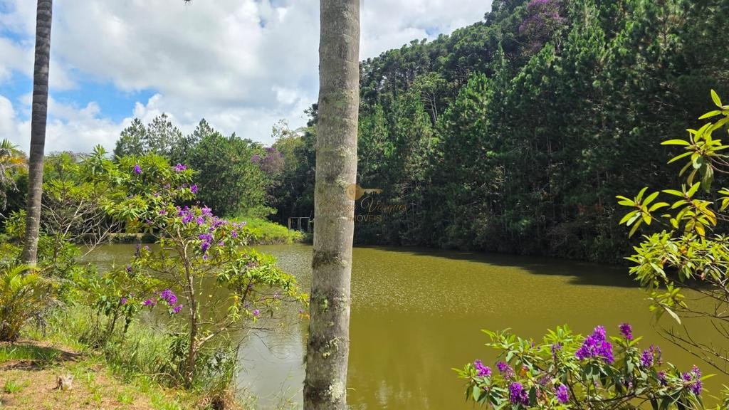 Fazenda, 55 hectares - Foto 14
