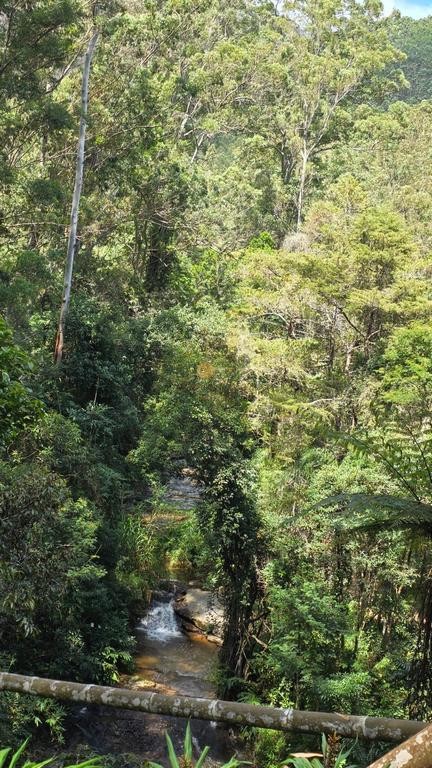 Fazenda, 55 hectares - Foto 60