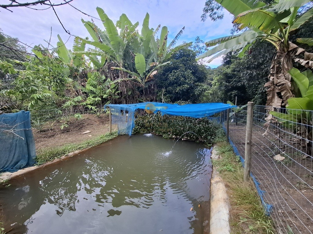 Fazenda, 3800 m² - Foto 24