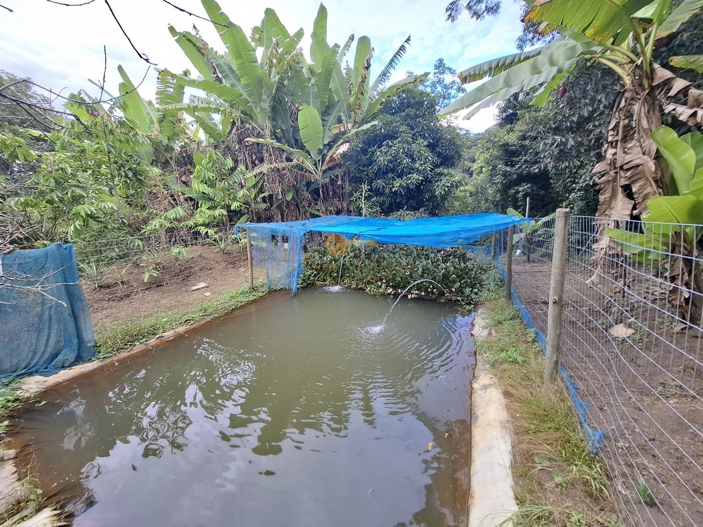 Fazenda, 3800 m² - Foto 25