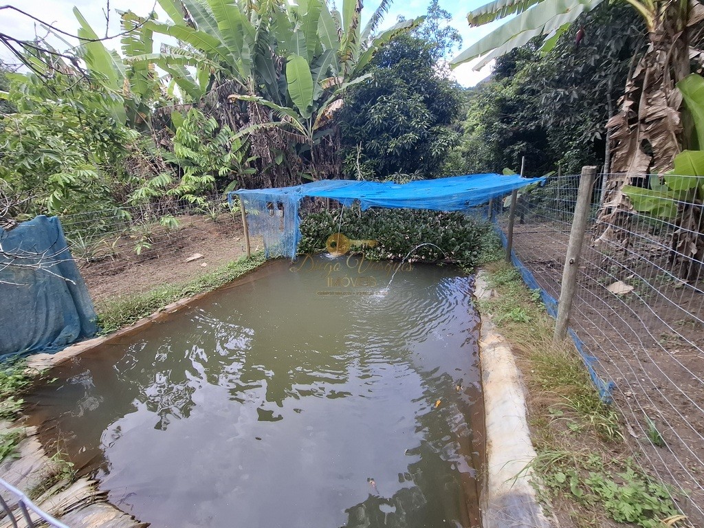 Fazenda, 3800 m² - Foto 26