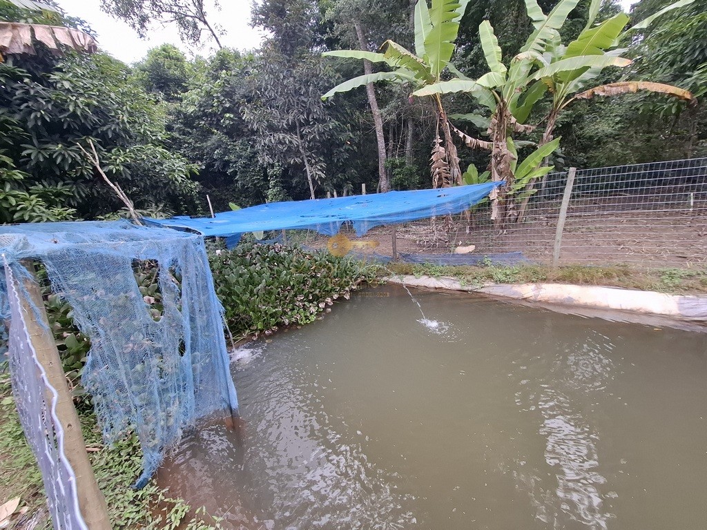 Fazenda, 3800 m² - Foto 27