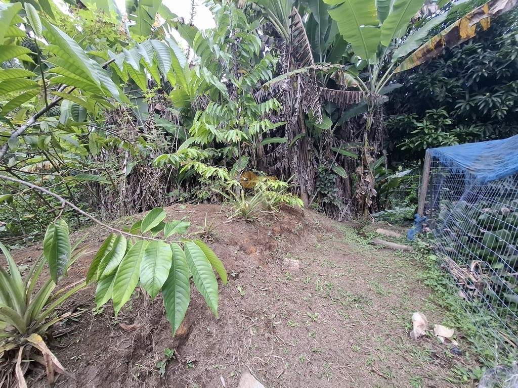 Fazenda, 3800 m² - Foto 28
