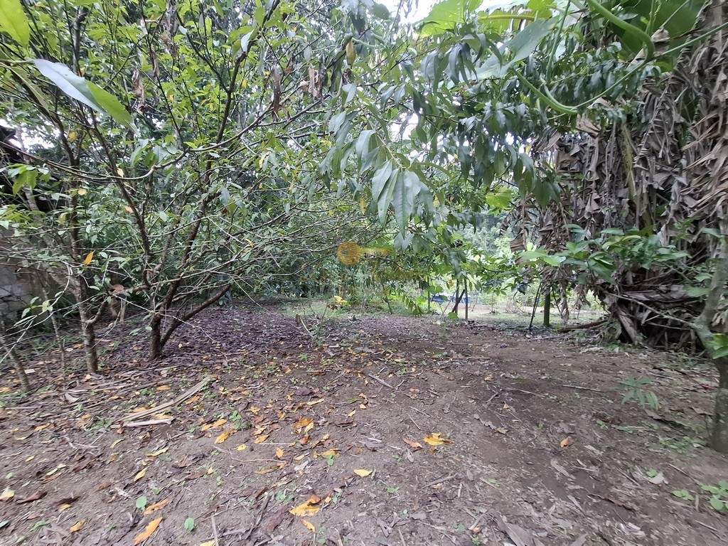 Fazenda, 3800 m² - Foto 29