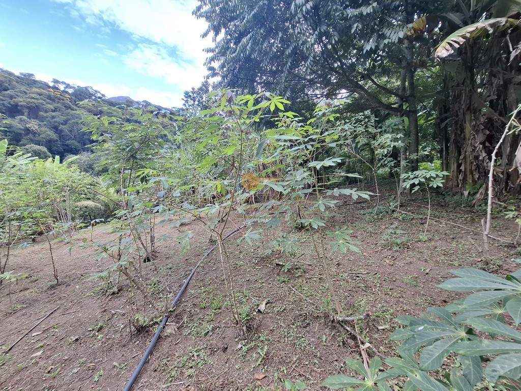 Fazenda, 3800 m² - Foto 30
