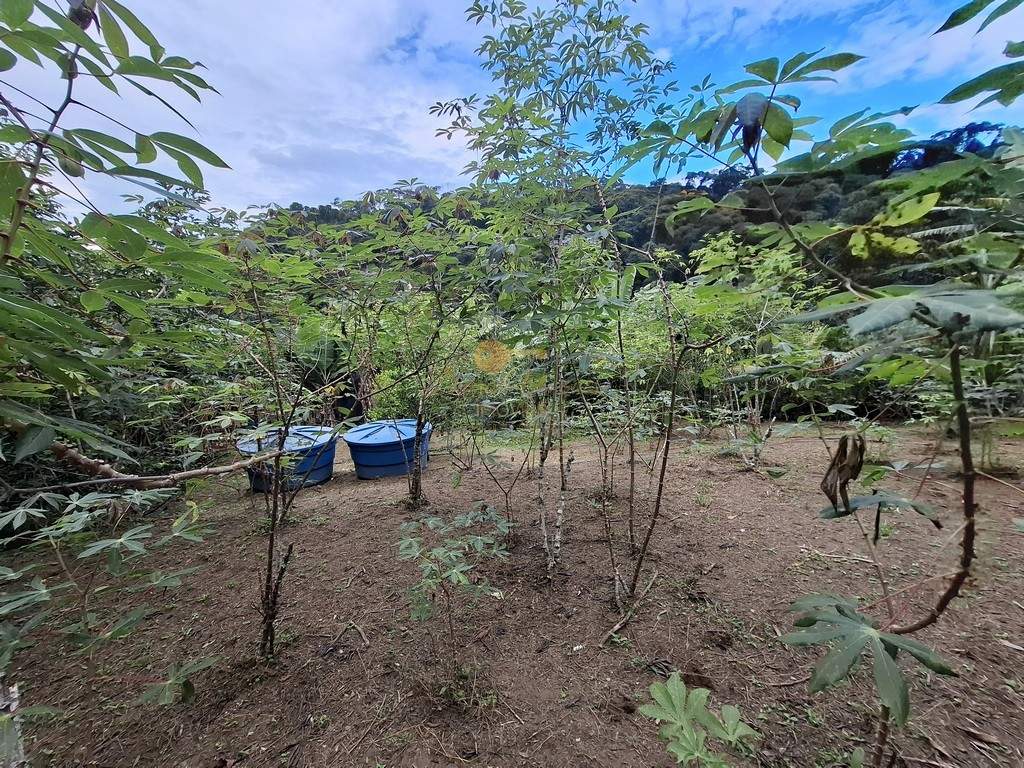 Fazenda, 3800 m² - Foto 31