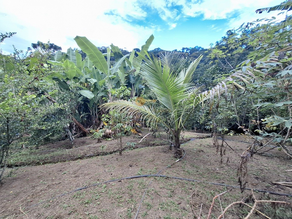 Fazenda, 3800 m² - Foto 32