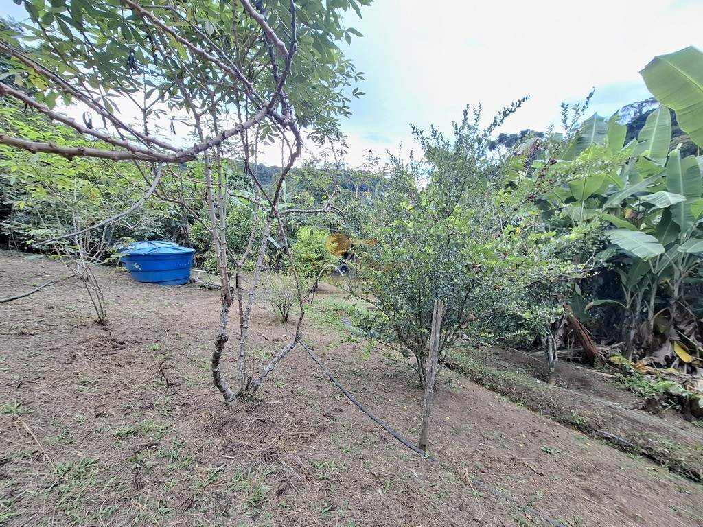 Fazenda, 3800 m² - Foto 33