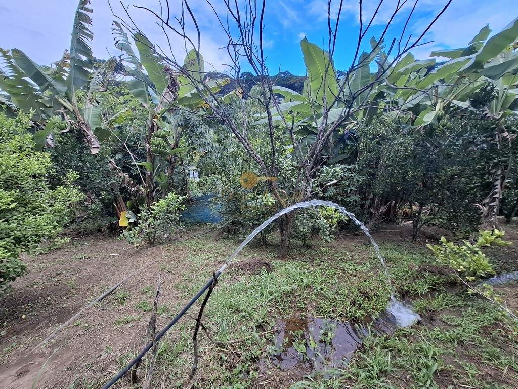 Fazenda, 3800 m² - Foto 34