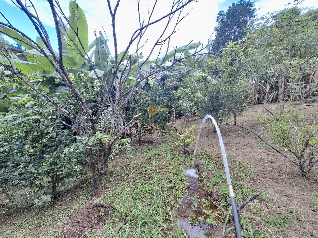 Fazenda, 3800 m² - Foto 35