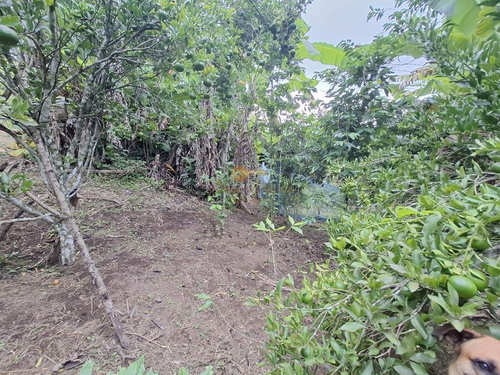 Fazenda, 3800 m² - Foto 36