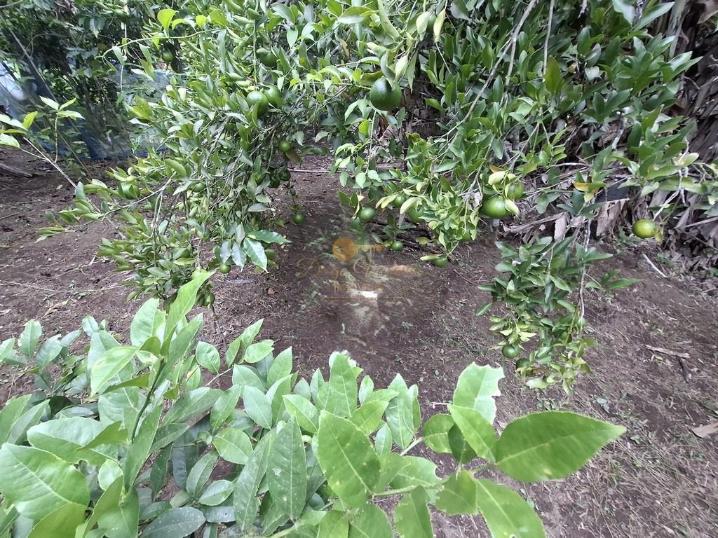 Fazenda, 3800 m² - Foto 37