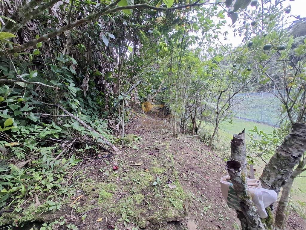 Fazenda, 3800 m² - Foto 39