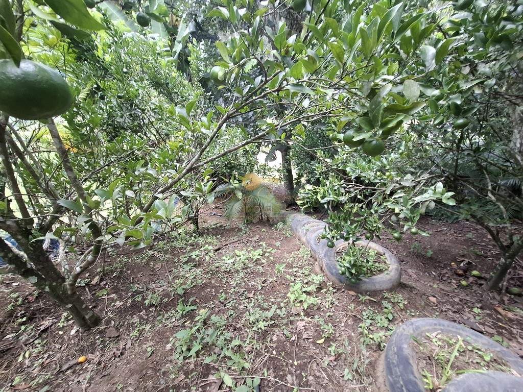 Fazenda, 3800 m² - Foto 40