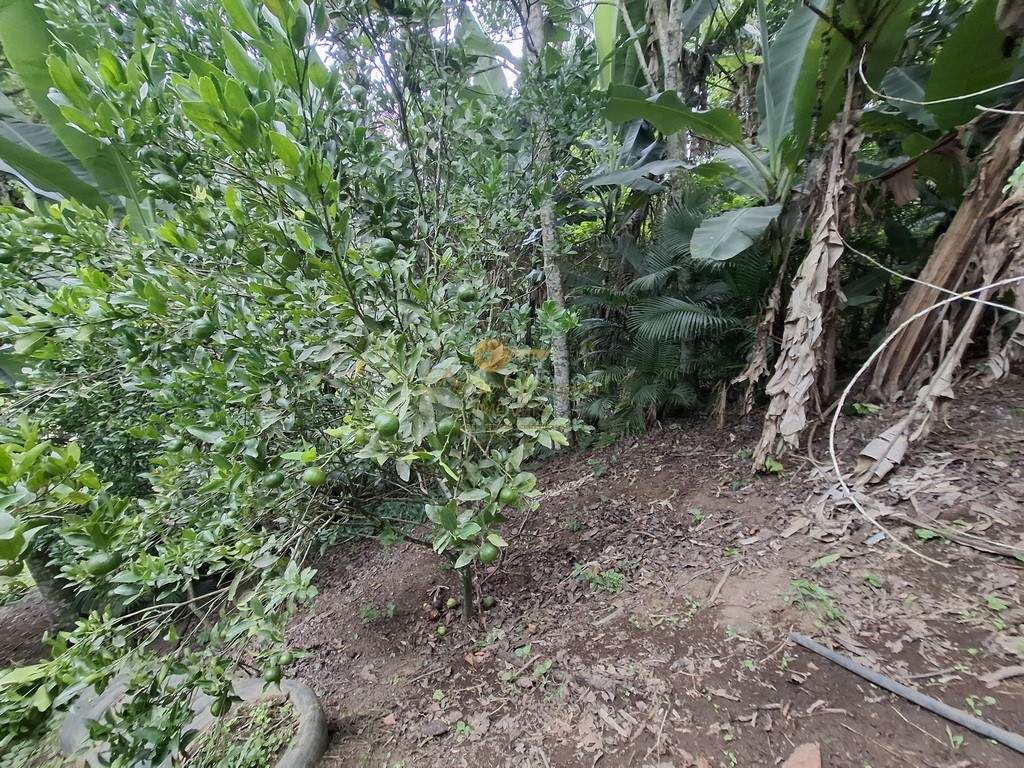 Fazenda, 3800 m² - Foto 41