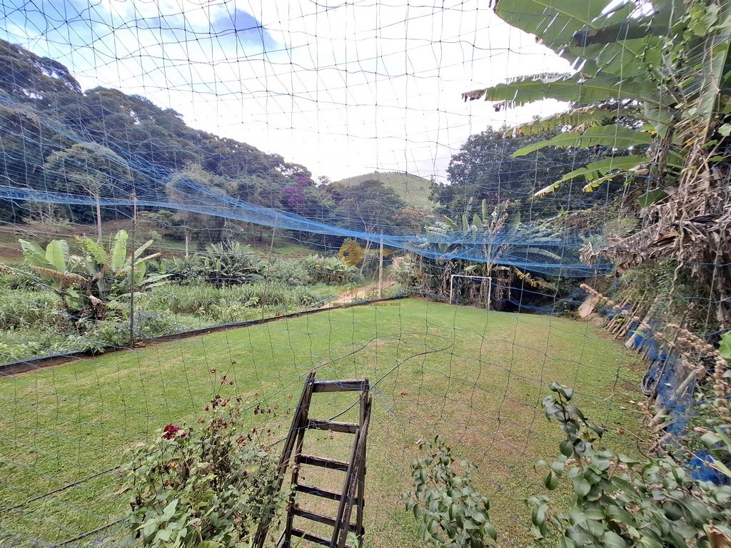 Fazenda, 3800 m² - Foto 42