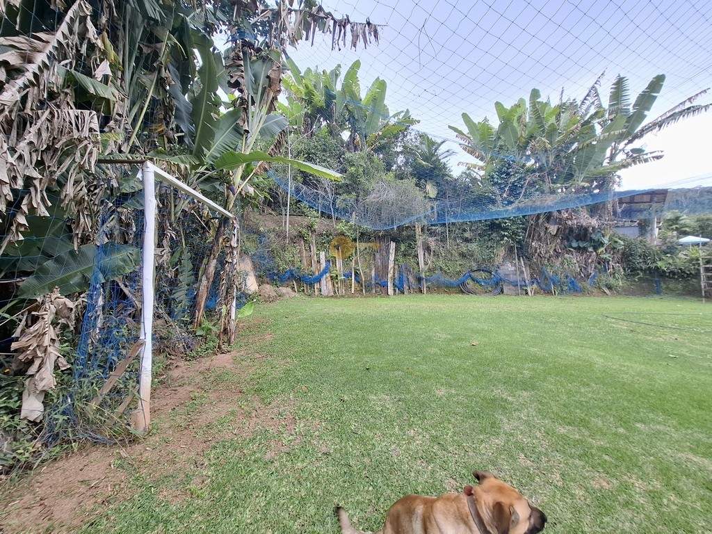 Fazenda, 3800 m² - Foto 43