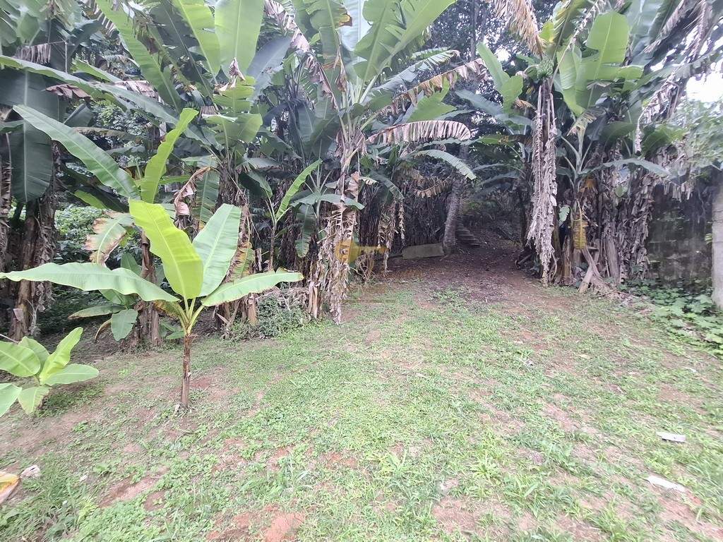 Fazenda, 3800 m² - Foto 45