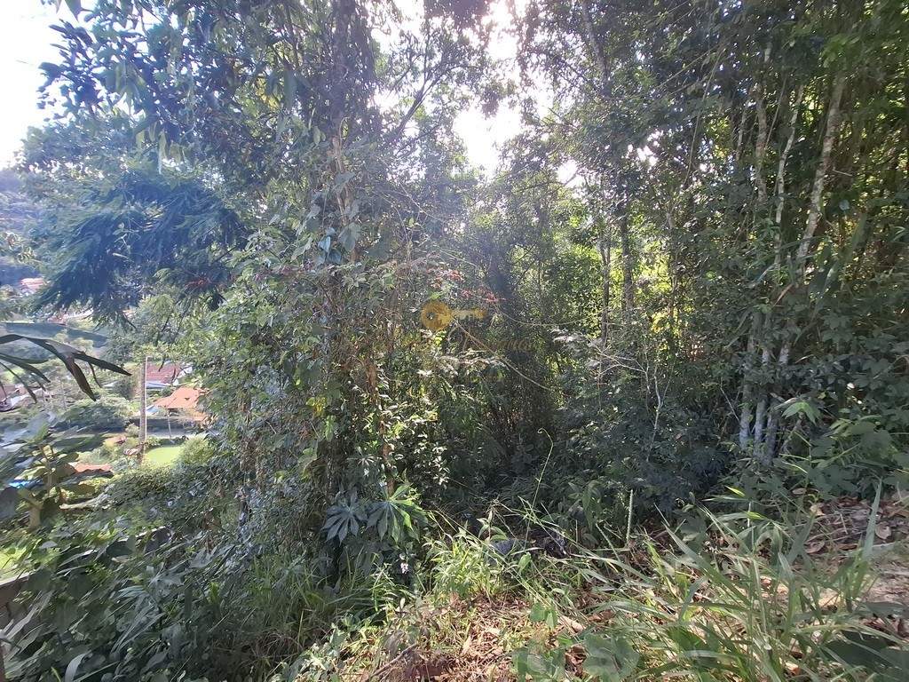 Terreno, 600 m² - Foto 5