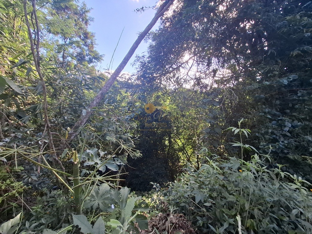 Terreno, 600 m² - Foto 6