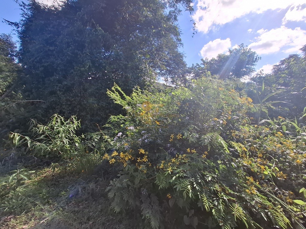 Terreno, 600 m² - Foto 7