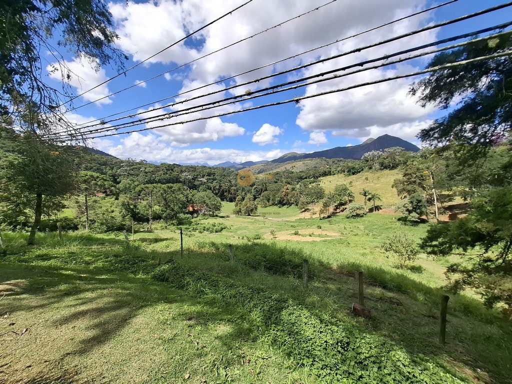 Fazenda, 40 hectares - Foto 32
