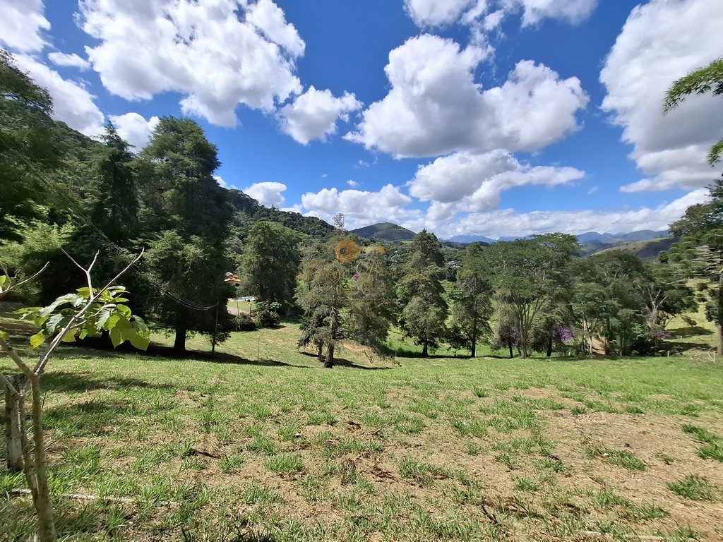 Fazenda, 40 hectares - Foto 37