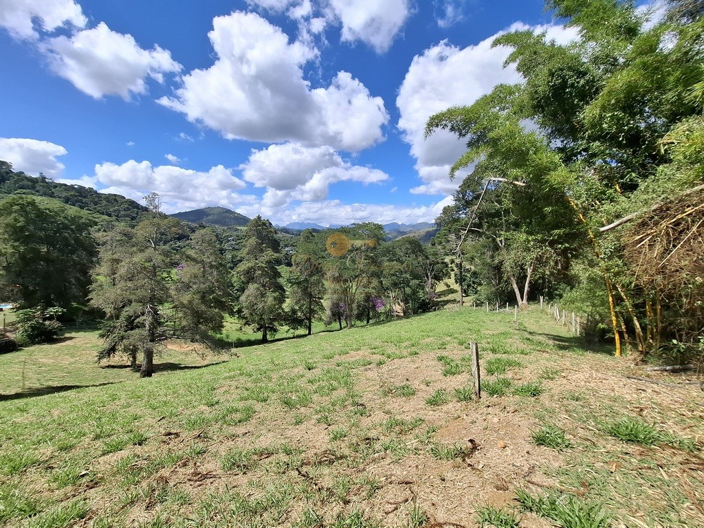 Fazenda, 40 hectares - Foto 36