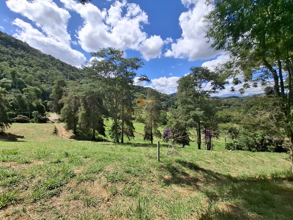 Fazenda, 40 hectares - Foto 39