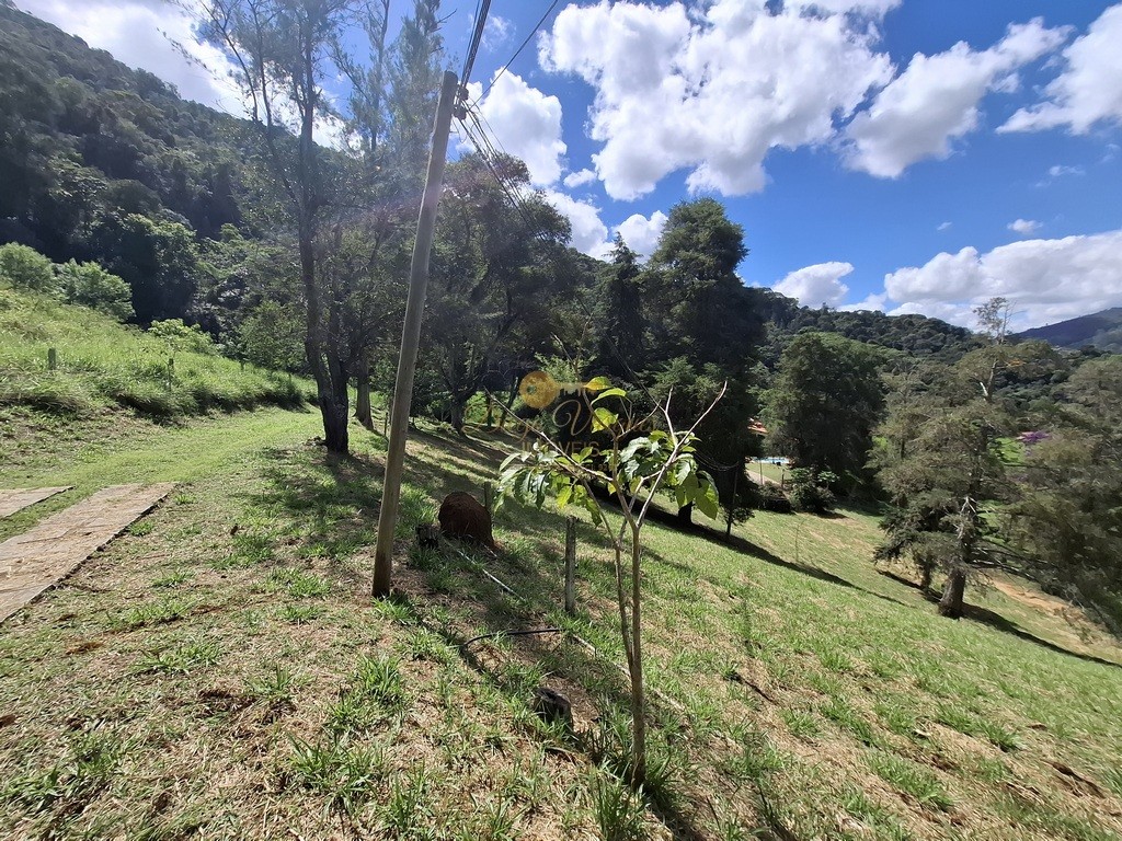 Fazenda, 40 hectares - Foto 38