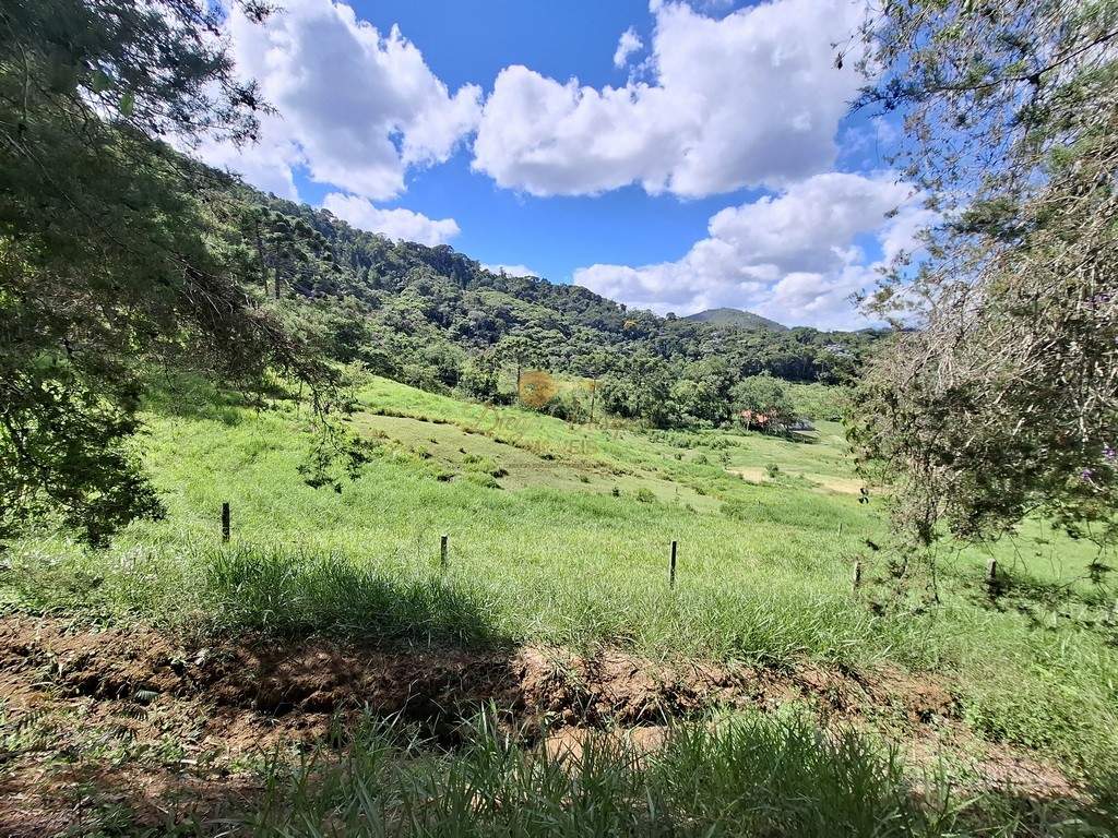 Fazenda, 40 hectares - Foto 41