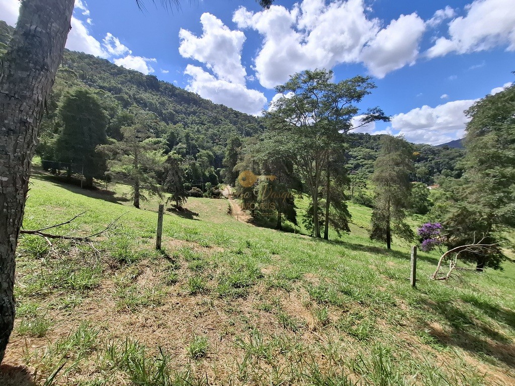 Fazenda, 40 hectares - Foto 40
